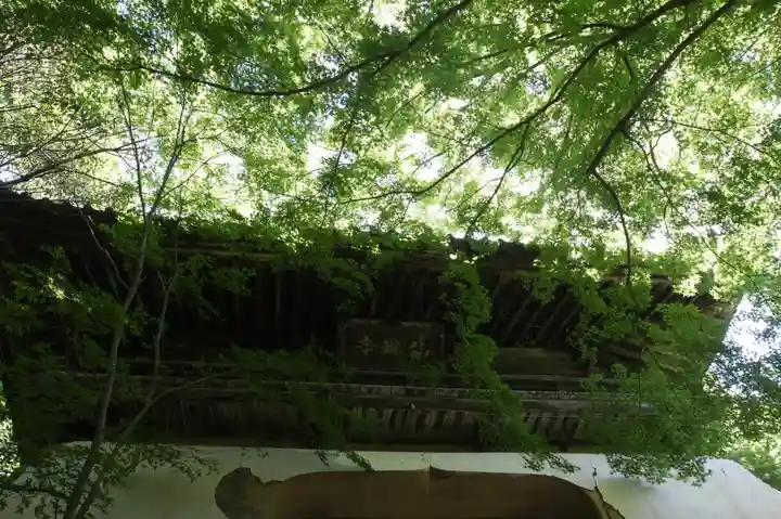 仙琳寺(滋賀県)