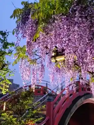 亀戸天神社(東京都)