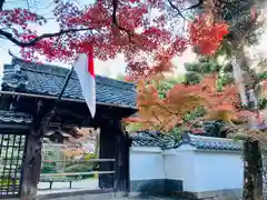 石山寺の山門