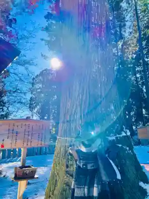 毘沙門堂の{uncategorized: "未分類", other: "その他", undefined: "問題あり", building: "その他建物", grave: "お墓", sacred_gate: "鳥居", guardian: "狛犬", statue: "像", buddha: "仏像", history: "歴史", nature: "自然", garden: "庭園", animal: "動物", pagoda: "塔", temizu: "手水舎", mountain_gate: "山門・神門", sanctuary: "本殿・本堂", subordinate: "末社・摂社", art: "芸術", scenery: "景色", jizo: "地蔵", ema: "絵馬", goshuin: "御朱印", omikuji: "おみくじ", items: "授与品その他", amulet: "お守り", goshuincho: "御朱印帳", eats: "食事", festival: "お祭り", votive_dance: "神楽", shichigosan: "七五三参", wedding: "結婚式", experience: "体験その他", initially: "初詣", around: "周辺", anti_infection: "感染症対策"}