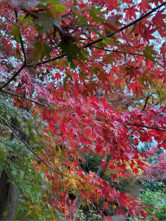 本土寺(千葉県)