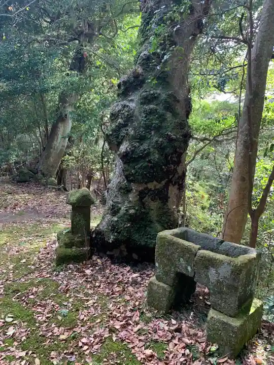 八坂神社(千葉県)