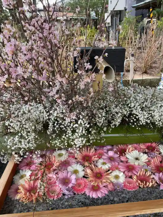 白山神社(新潟県)