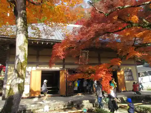 永源寺の本殿・本堂