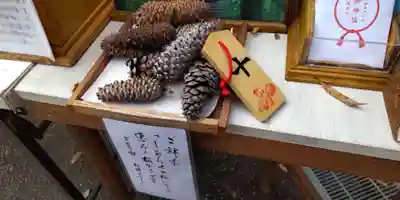 前鳥神社(神奈川県)