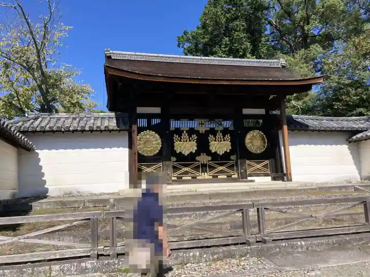 醍醐寺(京都府)