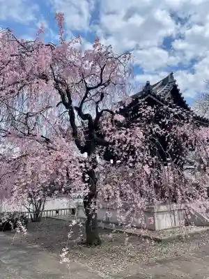 吉祥寺(東京都)