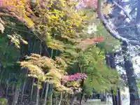 貴船神社(福井県)