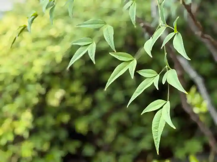 西方山極楽寺(岐阜県)