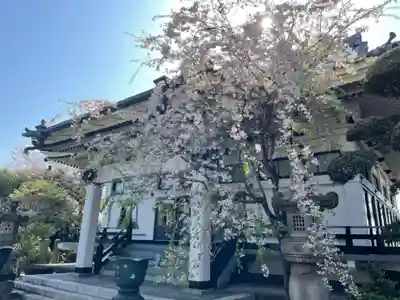 行善寺の本殿・本堂