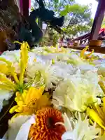 清洲山王宮 日吉神社(愛知県)