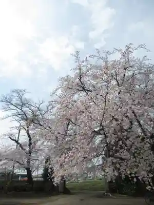 清泰寺(千葉県)