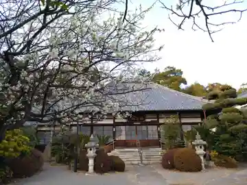 天桂院の本殿・本堂