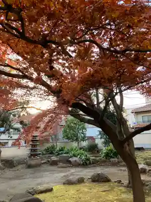 長仙寺(東京都)