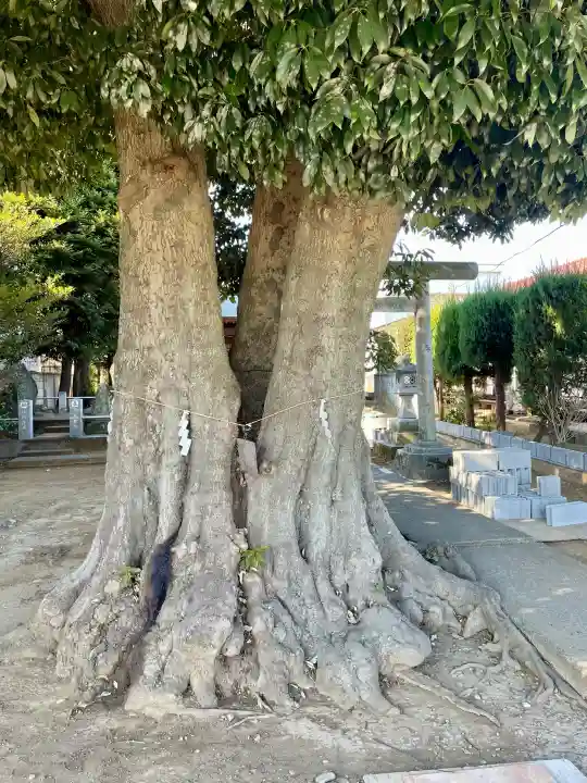 御嶽神社の{uncategorized: "未分類", other: "その他", undefined: "問題あり", building: "その他建物", grave: "お墓", sacred_gate: "鳥居", guardian: "狛犬", statue: "像", buddha: "仏像", history: "歴史", nature: "自然", garden: "庭園", animal: "動物", pagoda: "塔", temizu: "手水舎", mountain_gate: "山門・神門", sanctuary: "本殿・本堂", subordinate: "末社・摂社", art: "芸術", scenery: "景色", jizo: "地蔵", ema: "絵馬", goshuin: "御朱印", omikuji: "おみくじ", items: "授与品その他", amulet: "お守り", goshuincho: "御朱印帳", eats: "食事", festival: "お祭り", votive_dance: "神楽", shichigosan: "七五三参", wedding: "結婚式", experience: "体験その他", initially: "初詣", around: "周辺", anti_infection: "感染症対策"}