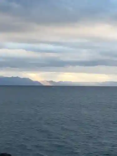 静岡浅間神社の自然