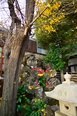 飛木稲荷神社の末社・摂社