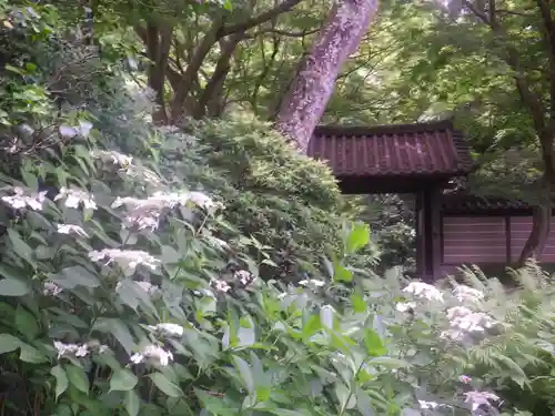 瑞泉寺のその他建物