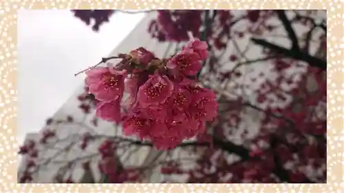 富士浅間神社(群馬県)