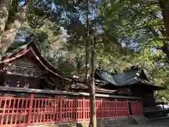 谷保天満宮(東京都)