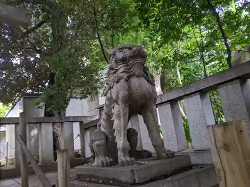 渋谷氷川神社の狛犬