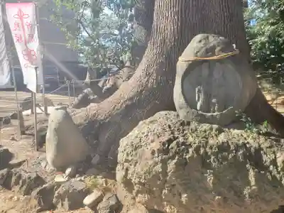 開運招福 飯玉神社(群馬県)