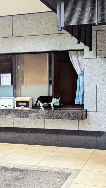 白金氷川神社の動物