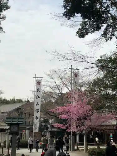 櫻木神社(千葉県)