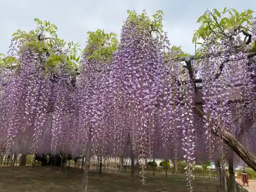 玉敷神社の庭園