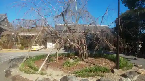 満福寺（三好稲荷閣）(愛知県)