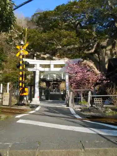 御霊神社の鳥居