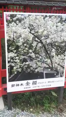 金櫻神社のその他建物