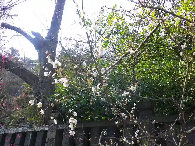 御霊神社のその他建物