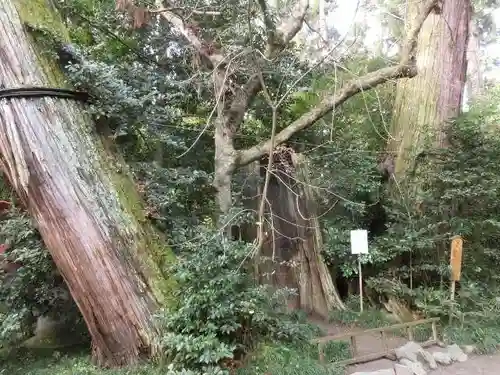 香取神宮の自然