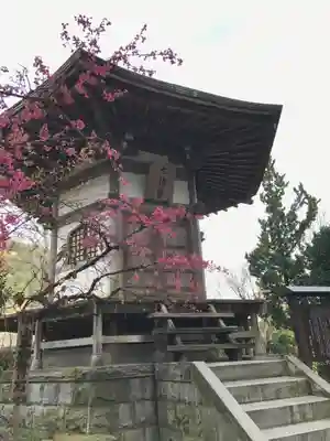 城願寺のその他建物