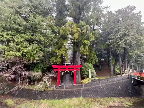 須山浅間神社(静岡県)