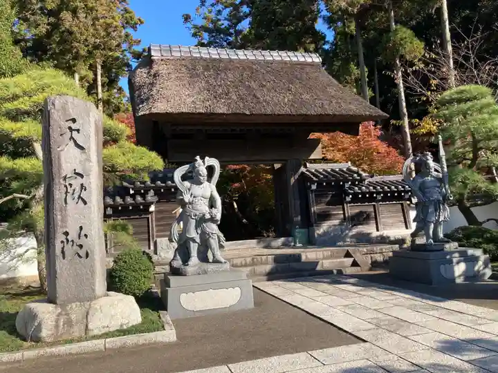 天嶽院(神奈川県)