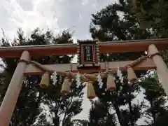 蛇窪神社の鳥居