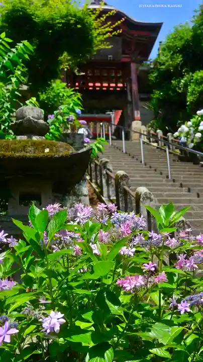太平山神社(栃木県)