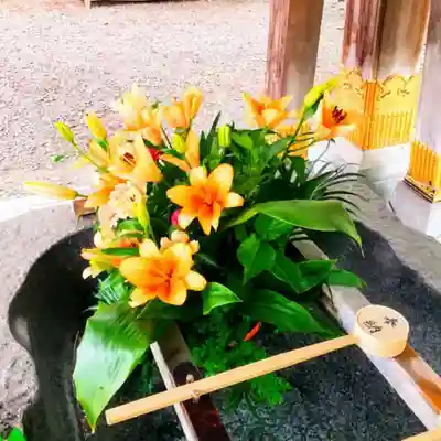彌彦神社　(伊夜日子神社)の手水舎