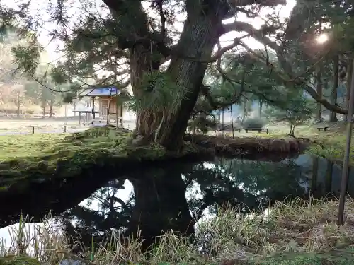 一本杉神社(島根県)