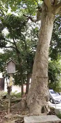 甲鉾神社(大阪府)