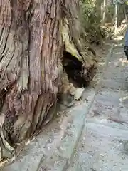 日枝神社(福島県)