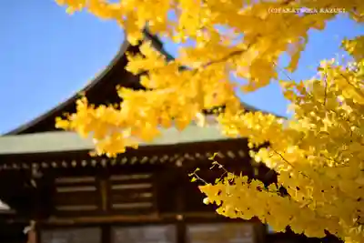 葛飾八幡宮(千葉県)