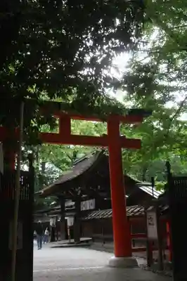 河合神社（鴨川合坐小社宅神社）(京都府)