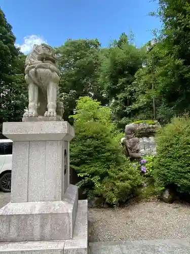 白山比咩神社の狛犬