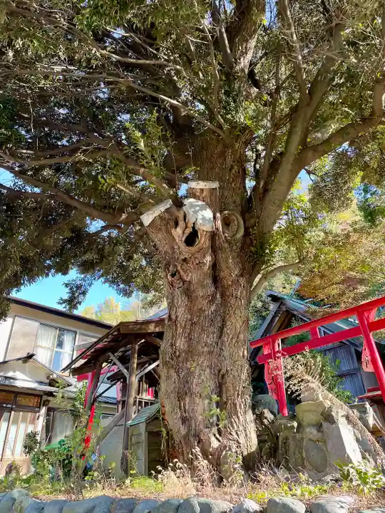 西森稲荷大明神(神奈川県)