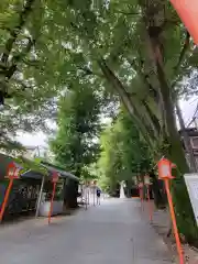 赤城神社の建物その他