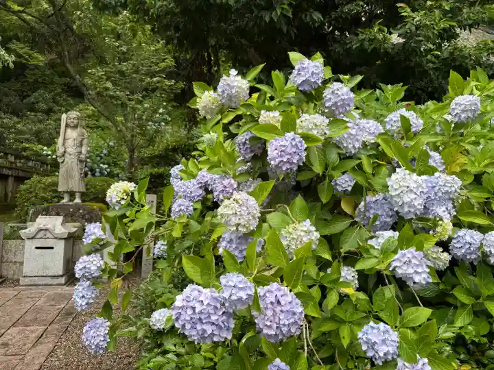 長谷寺(奈良県)
