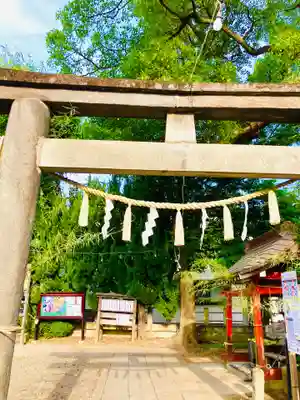 龍ケ崎八坂神社(茨城県)